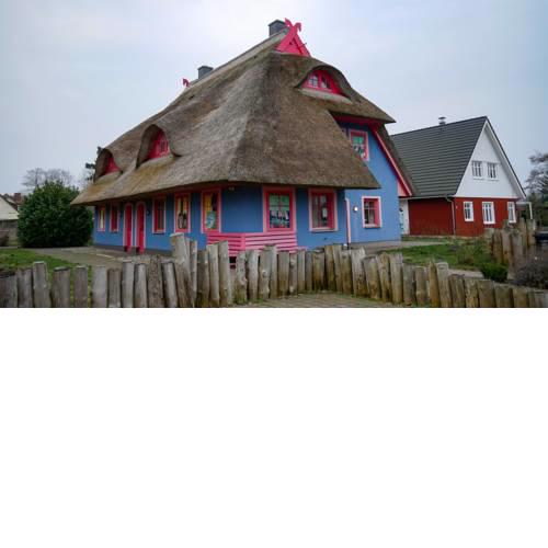 Möwenkoje