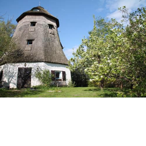 Mühle Beckenkrug