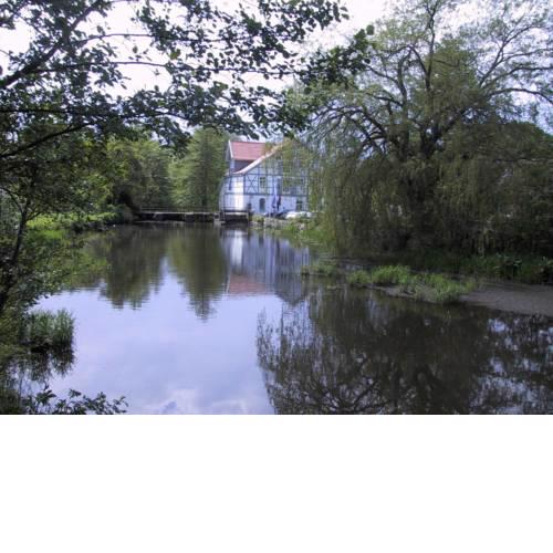 Mühlenteich in der Oldenstädter Wassermühle