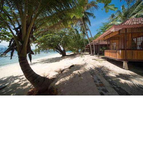 Murex Bangka Dive Resort
