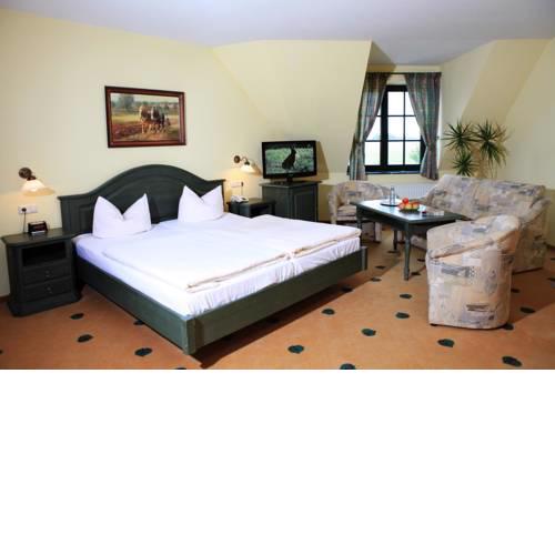 Müritz Landhotel Grüner Baum