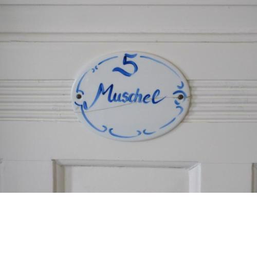 Muschel in der Villa Medici