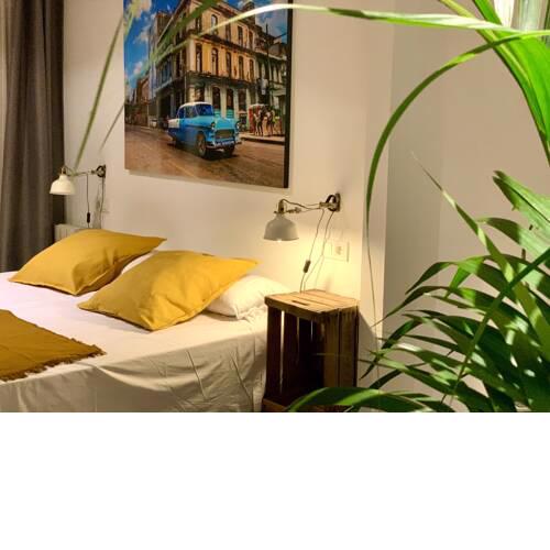 MUSH- ROOMS