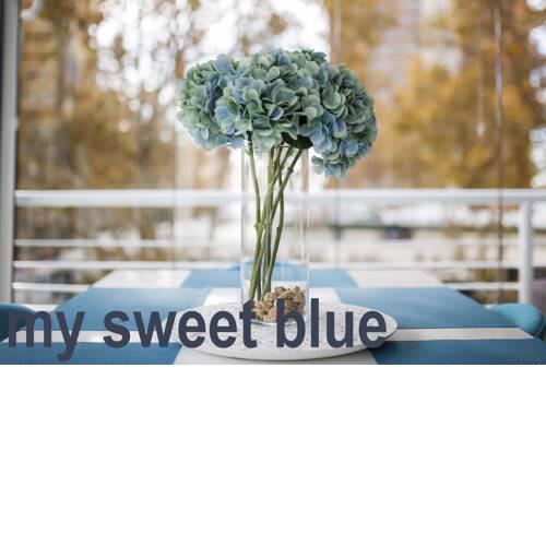My Sweet Blue Apartment