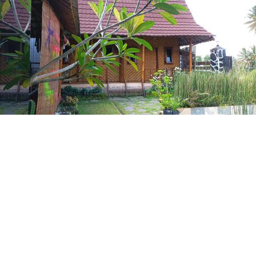 Mysha Guest House-Lombok