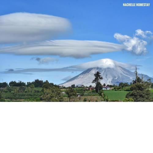 Nachelle Homestay