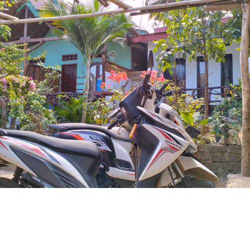 Nadil Homestay