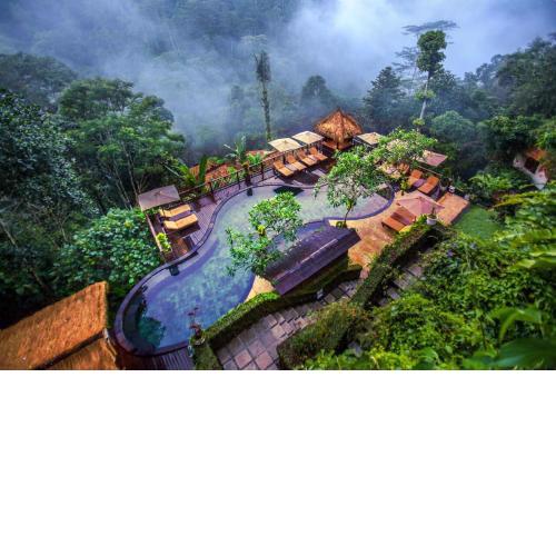Nandini Jungle by Hanging Gardens