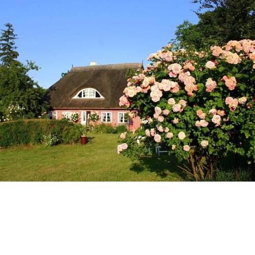 Nardevitz Fewos Im Feriengarten