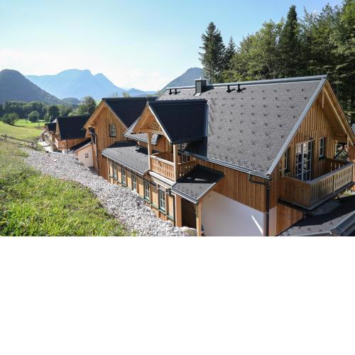 Narzissendorf Zloam