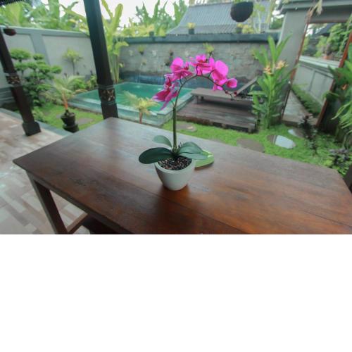 Natha Swari Private Pool Villa