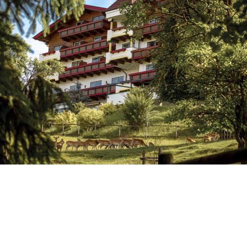 Natur- und Wohlfühlhotel Kastenholz