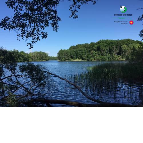 Natur pur, nah am Schaalsee
