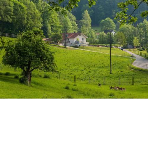 "Natur pur" Refugium für Mensch und Tier
