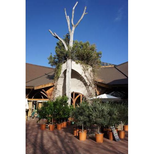 Naturata Hotel