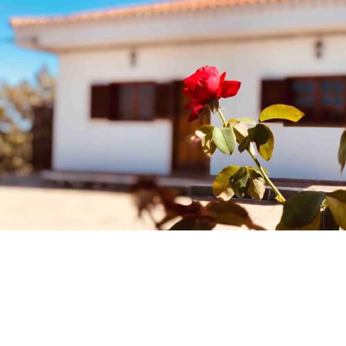 NATURE & PARADISE Villa Gil Bordon