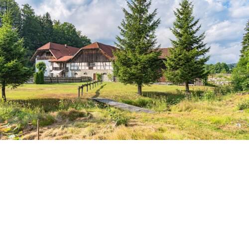 Naturidyll Kollnbergmühle