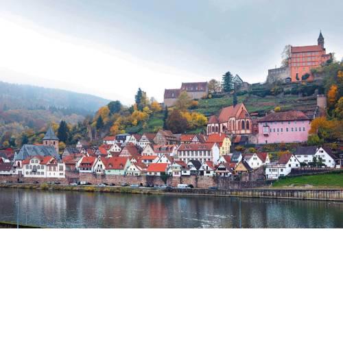 Neckarblick,Natur, Altstadt