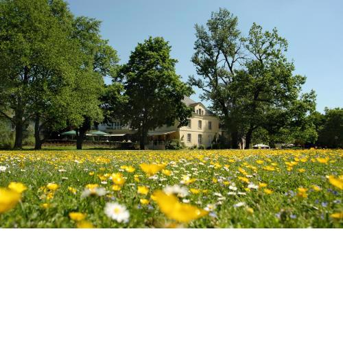 Nells Park Hotel Ferienwohnungen