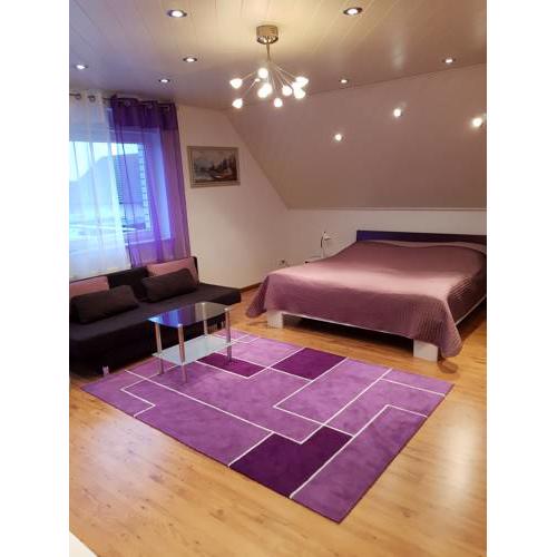 Nettes 2- Zimmer Apartment