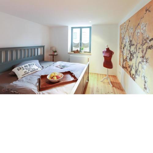 NEU!!! Stadtnest Malchow - für 2-12 Personen in der Inselstadt - Mecklenburgische Seenplatte