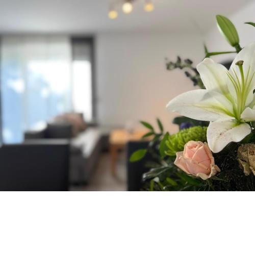 Neubau Ferienwohnung in Winterscheid nahe zu Köln,Bonn für 4 Personen