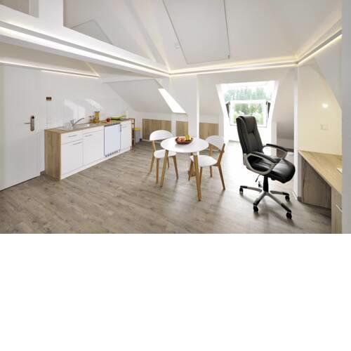 Neue Dachgeschosswohnung im Zentrum (R.302)