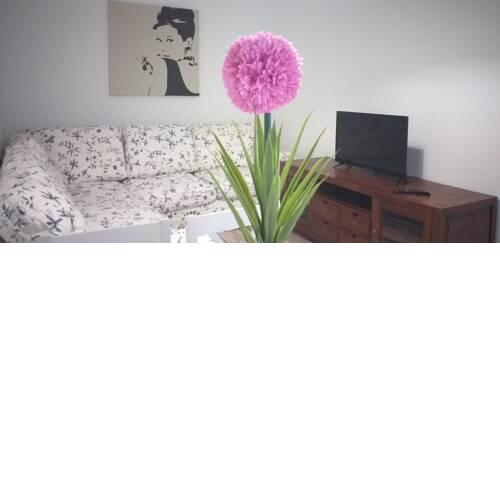 NEW Apartamento 6 lobitos