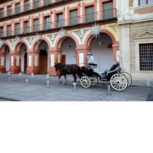 NEW!! APARTAMENTO CORREDERA CENTRO Y CASCO HISTÓRICO