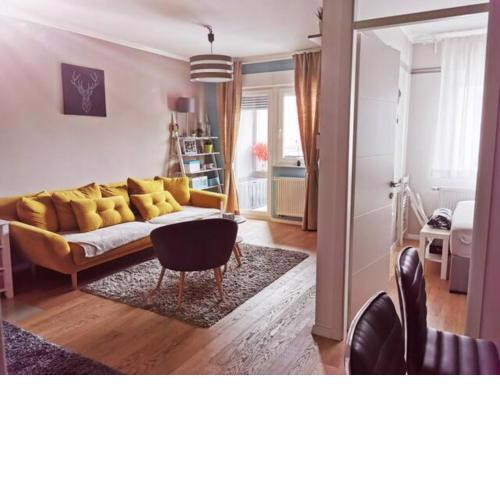 New elegant apartment with free parking and wifi