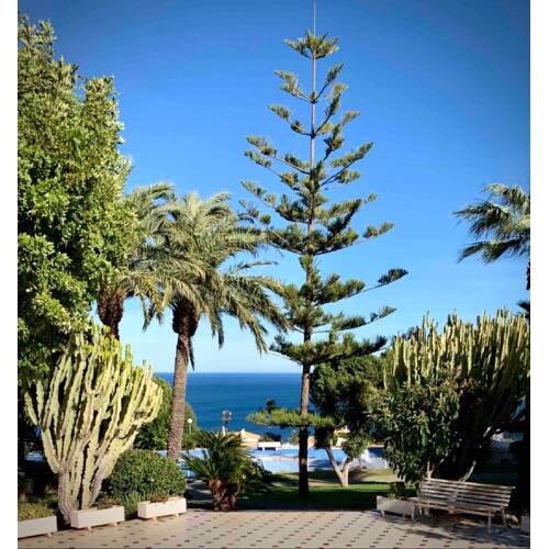 New Exclusive LUX - EL FARO DE GRAN ALACAN - outside of the CITY - Near MOUNTAIN and BEACH - with LUXURY VIEWS - in SANTA POLA - AlicanteRentHouse