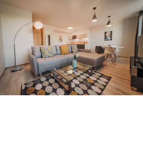 New luxurious apartment in the city centre