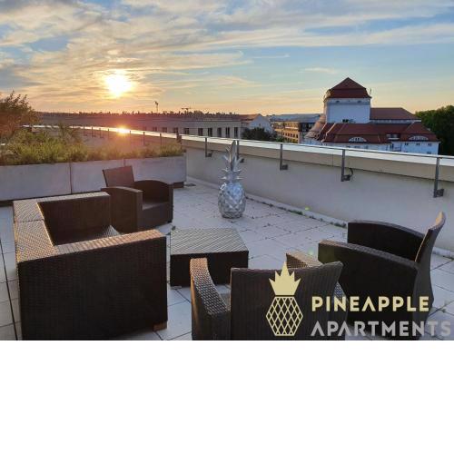 NEW! Pineapple Apartments Penthouse am Zwinger