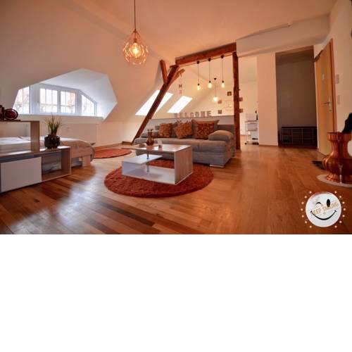 NEW*DG-Altbau-Parkett !!NETFLIX & RELAX, 2 Betten
