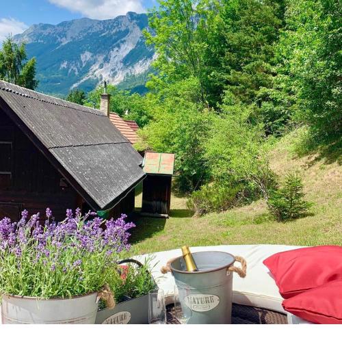 Newly renovated house Reichenau nature reserve