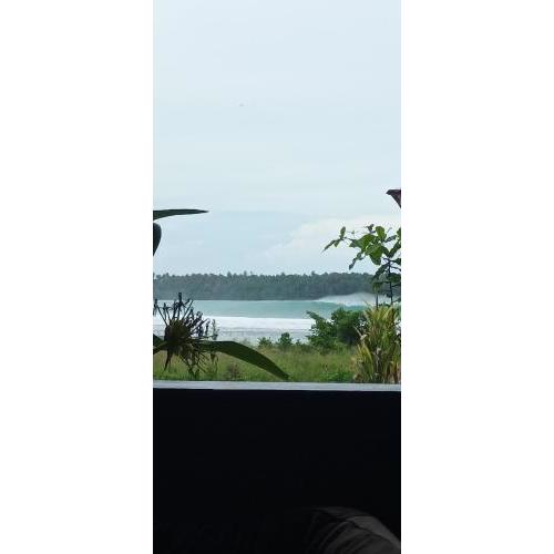 Nias shady palm surfcamp guesthouse