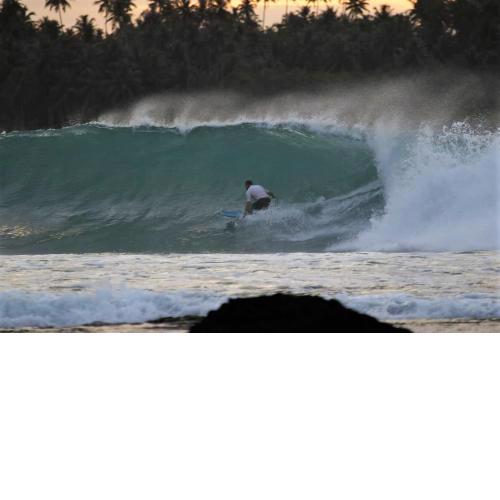 Nias Shady Palm surfcamp