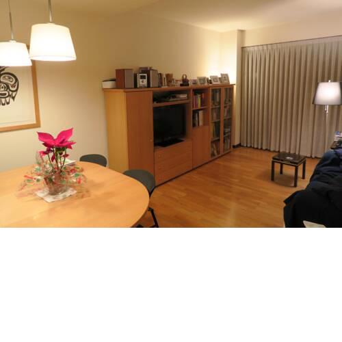 Nice apartment in Jujol
