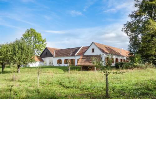 Nice apartment in Limbach w/ WiFi and 2 Bedrooms