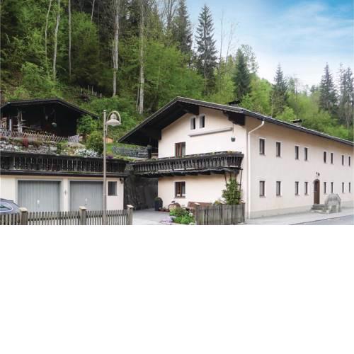 Nice apartment in Mühlbach am Hochkönig w/ WiFi and 1 Bedrooms