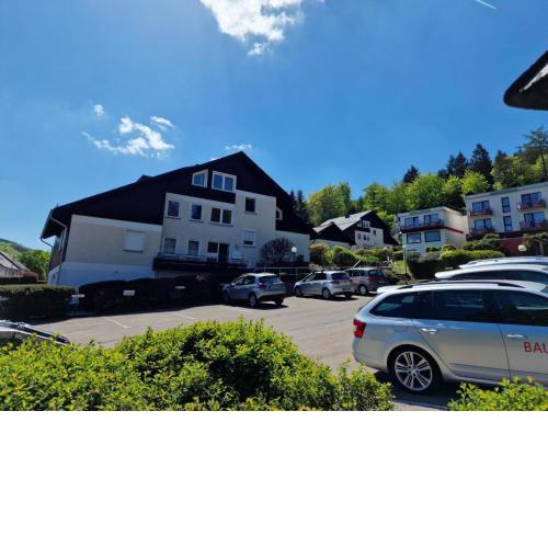 Nice apartment in Willingen Upland with a garden