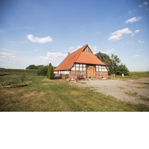 Nice Holiday Home in Badbergen Germany with Lawn