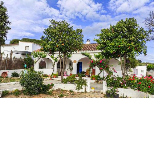 Nice home in Arcos de la Frontera with Outdoor swimming pool and 3 Bedrooms