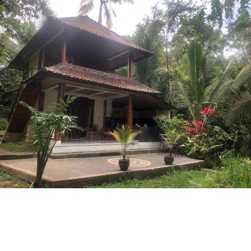 Nice house, quiet place overlooking rice fields