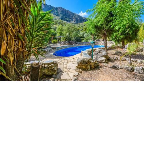 Nicely decorated house with tropical garden