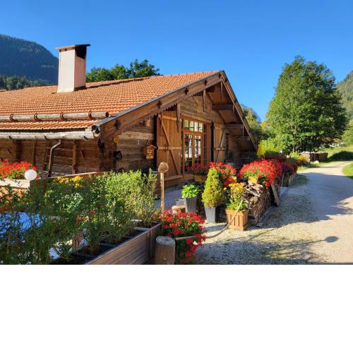 Nickis Bergcamp