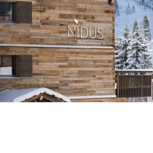 Nidus Penthouse