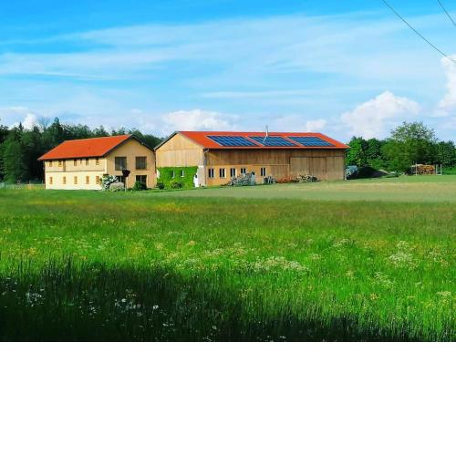 Niedergerner Alpaka Ranch