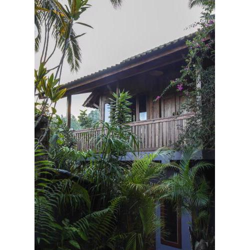 Nienté Bali