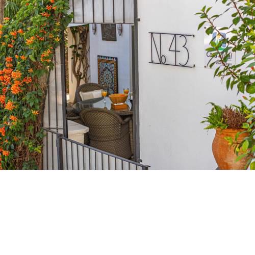 No. 43 Torrox